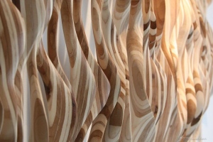 Caprice Pierucci at the Davis Gallery 2010