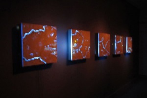 Shawn Camp at Co-Lab 2012