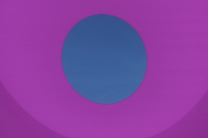 The Color Inside 2017
